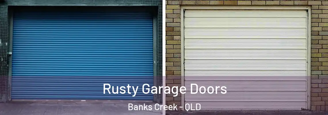 Rusty Garage Doors Banks Creek - QLD