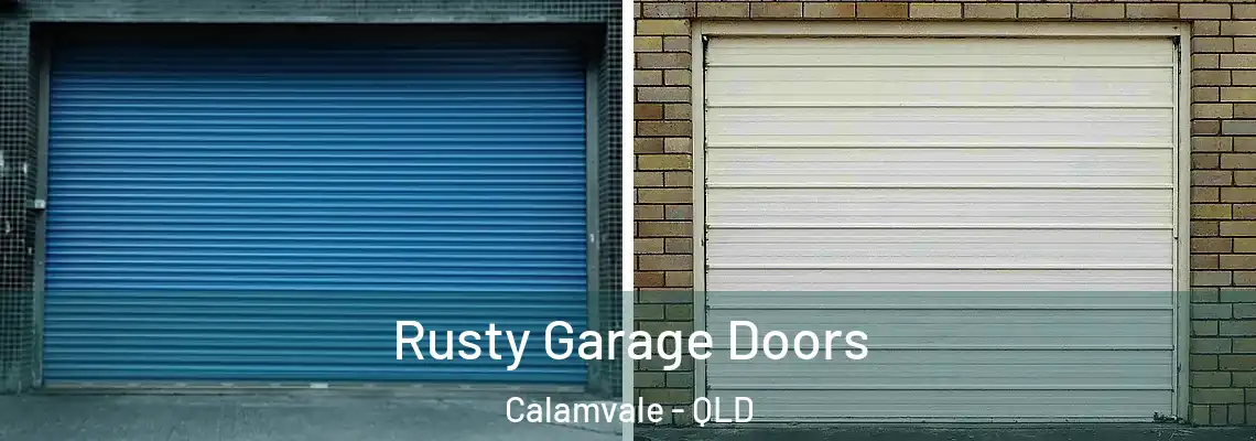  Rusty Garage Doors Calamvale - QLD