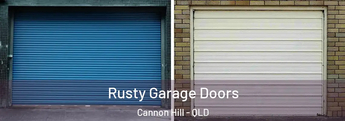  Rusty Garage Doors Cannon Hill - QLD