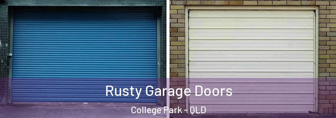  Rusty Garage Doors College Park - QLD