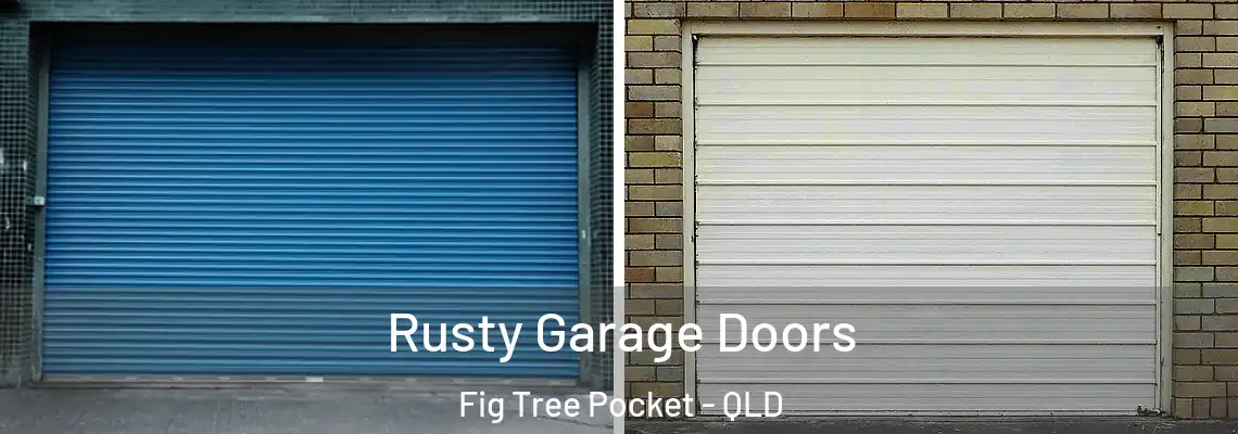  Rusty Garage Doors Fig Tree Pocket - QLD