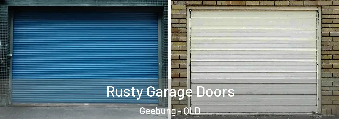  Rusty Garage Doors Geebung - QLD