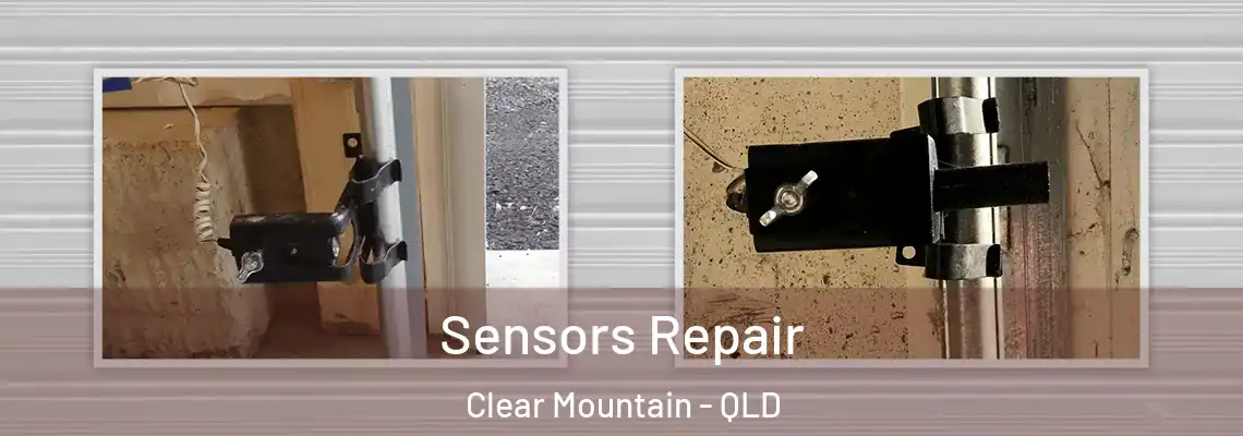  Sensors Repair Clear Mountain - QLD